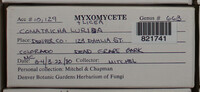 Image Associated With the Occurence